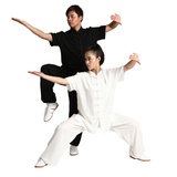 Chinese Cotton Blend Tai Chi Uniforms Martial Art Short Sleeve-Cotton+Silk