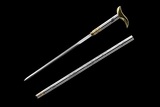 Collectible Cane Swords with Engraved Steel Sheath
